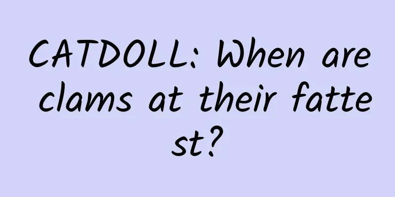 CATDOLL: When are clams at their fattest?