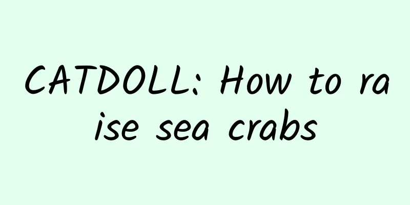 CATDOLL: How to raise sea crabs