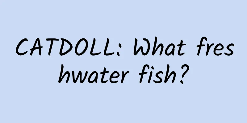 CATDOLL: What freshwater fish?