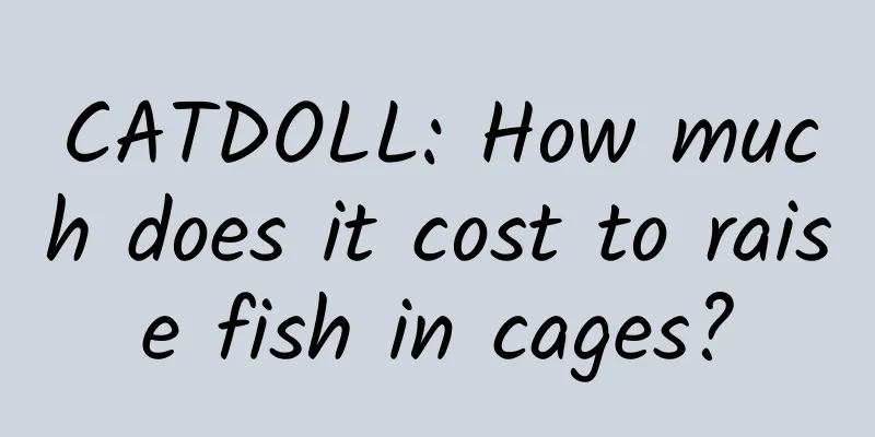 CATDOLL: How much does it cost to raise fish in cages?
