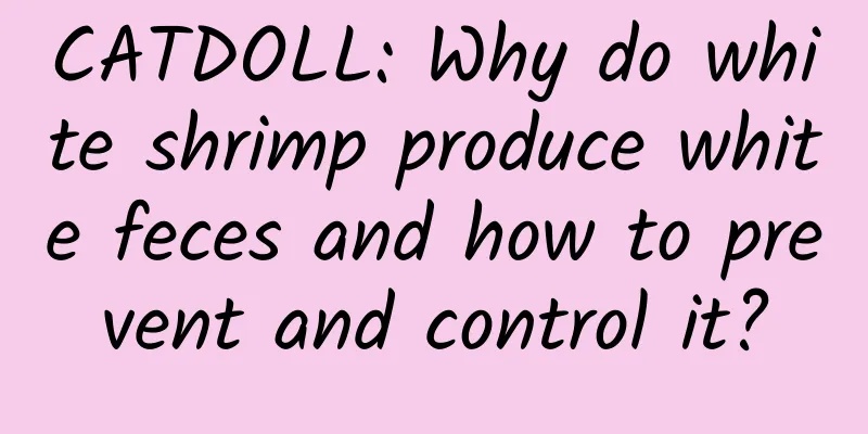 CATDOLL: Why do white shrimp produce white feces and how to prevent and control it?