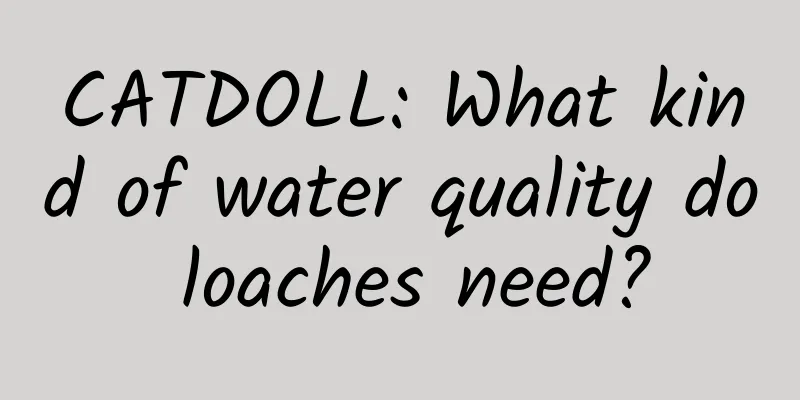 CATDOLL: What kind of water quality do loaches need?