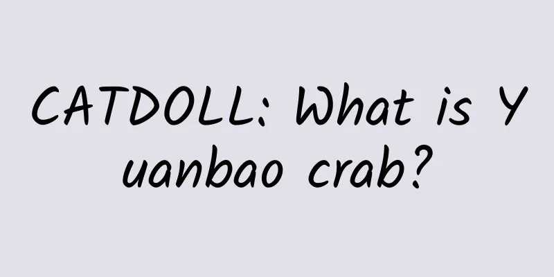 CATDOLL: What is Yuanbao crab?