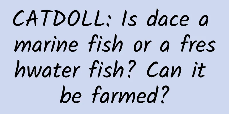 CATDOLL: Is dace a marine fish or a freshwater fish? Can it be farmed?