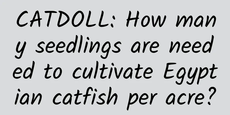 CATDOLL: How many seedlings are needed to cultivate Egyptian catfish per acre?