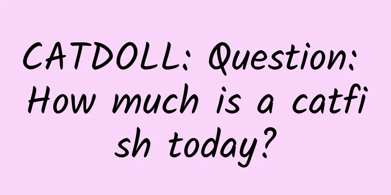 CATDOLL: Question: How much is a catfish today?