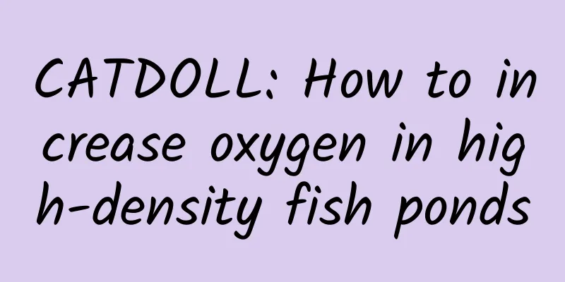 CATDOLL: How to increase oxygen in high-density fish ponds