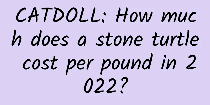 CATDOLL: How much does a stone turtle cost per pound in 2022?