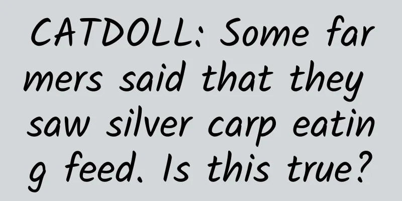 CATDOLL: Some farmers said that they saw silver carp eating feed. Is this true?