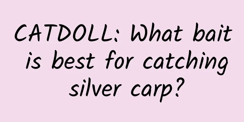CATDOLL: What bait is best for catching silver carp?