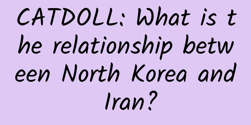 CATDOLL: What is the relationship between North Korea and Iran?
