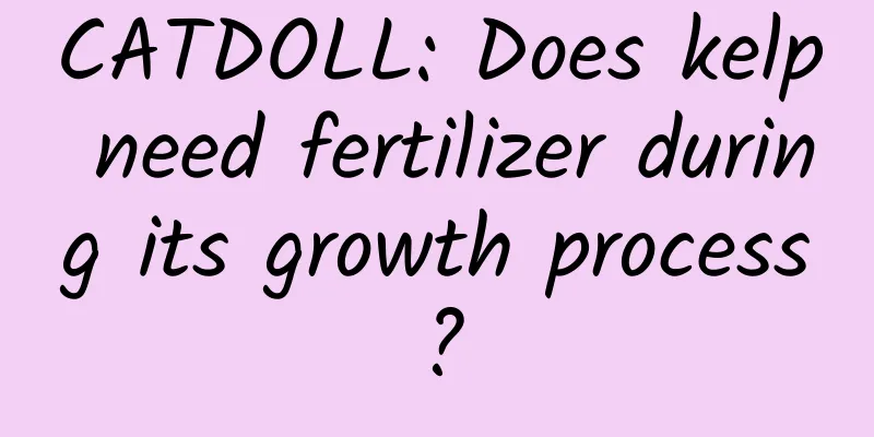 CATDOLL: Does kelp need fertilizer during its growth process?