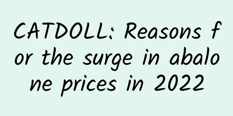 CATDOLL: Reasons for the surge in abalone prices in 2022
