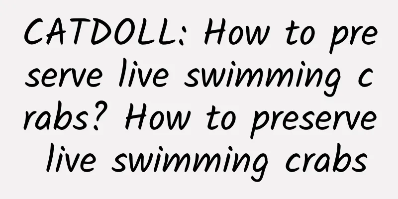 CATDOLL: How to preserve live swimming crabs? How to preserve live swimming crabs