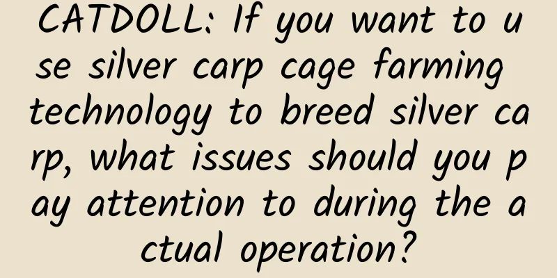 CATDOLL: If you want to use silver carp cage farming technology to breed silver carp, what issues should you pay attention to during the actual operation?