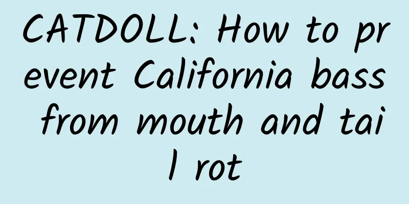 CATDOLL: How to prevent California bass from mouth and tail rot