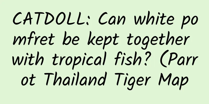 CATDOLL: Can white pomfret be kept together with tropical fish? (Parrot Thailand Tiger Map