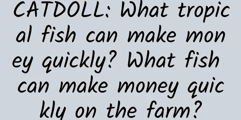 CATDOLL: What tropical fish can make money quickly? What fish can make money quickly on the farm?