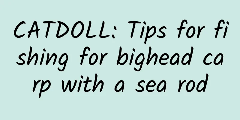 CATDOLL: Tips for fishing for bighead carp with a sea rod