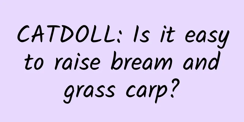 CATDOLL: Is it easy to raise bream and grass carp?