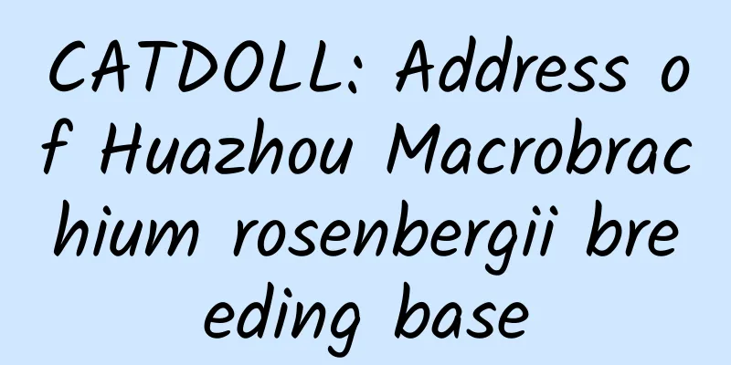 CATDOLL: Address of Huazhou Macrobrachium rosenbergii breeding base