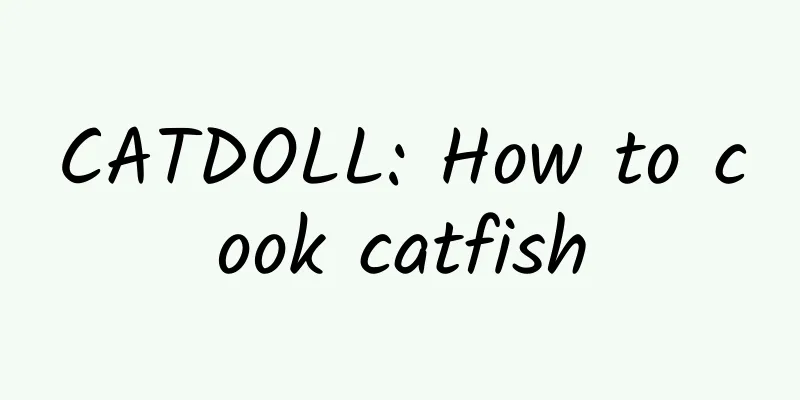 CATDOLL: How to cook catfish