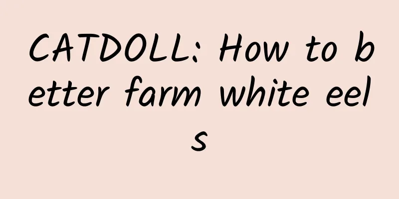 CATDOLL: How to better farm white eels