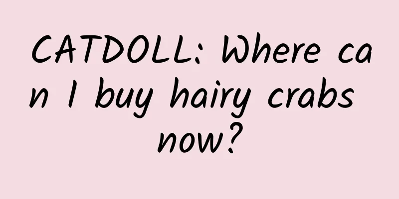 CATDOLL: Where can I buy hairy crabs now?