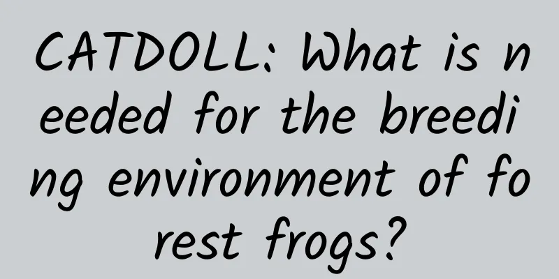 CATDOLL: What is needed for the breeding environment of forest frogs?
