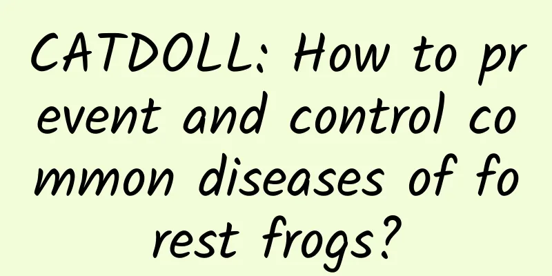 CATDOLL: How to prevent and control common diseases of forest frogs?