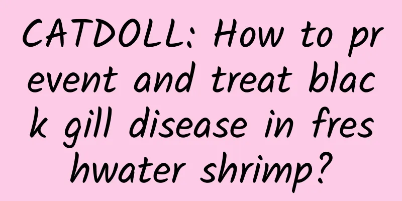 CATDOLL: How to prevent and treat black gill disease in freshwater shrimp?