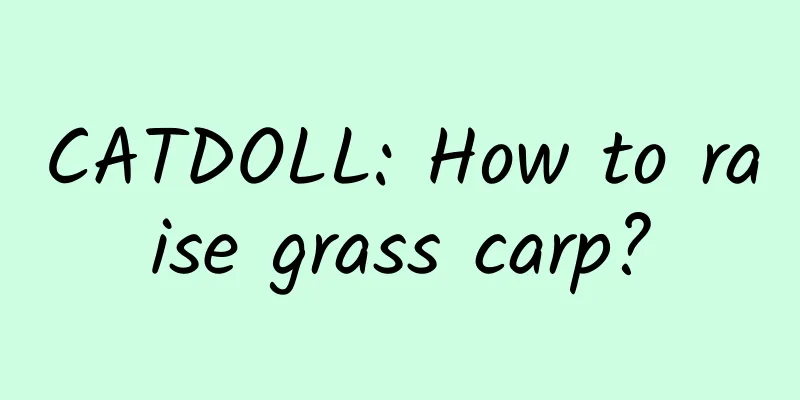 CATDOLL: How to raise grass carp?