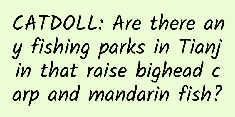 CATDOLL: Are there any fishing parks in Tianjin that raise bighead carp and mandarin fish?