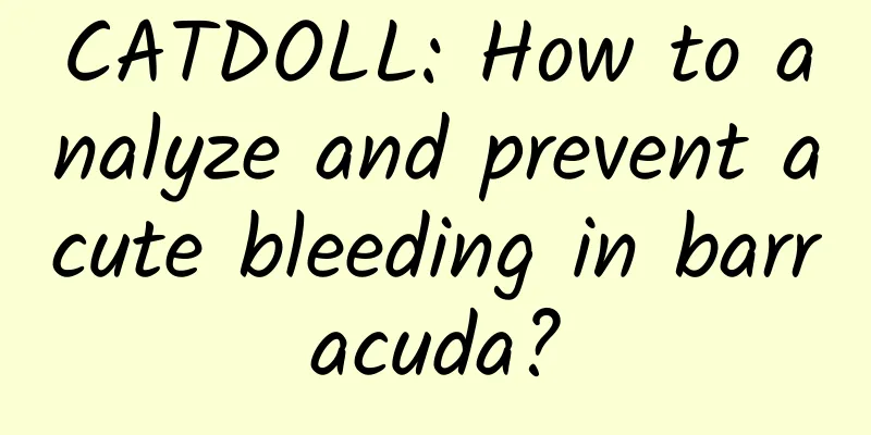 CATDOLL: How to analyze and prevent acute bleeding in barracuda?