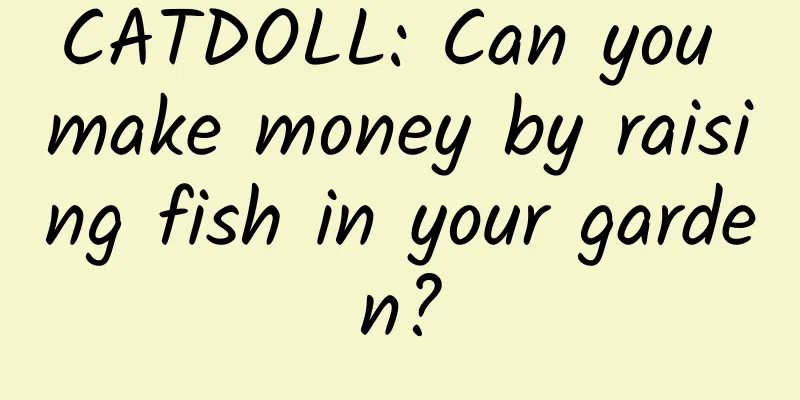 CATDOLL: Can you make money by raising fish in your garden?