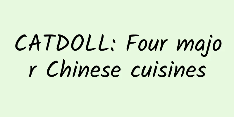 CATDOLL: Four major Chinese cuisines