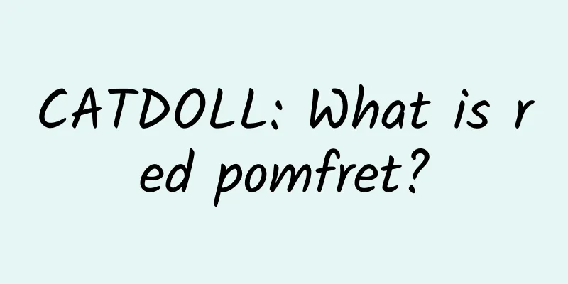CATDOLL: What is red pomfret?