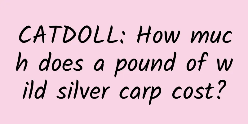 CATDOLL: How much does a pound of wild silver carp cost?