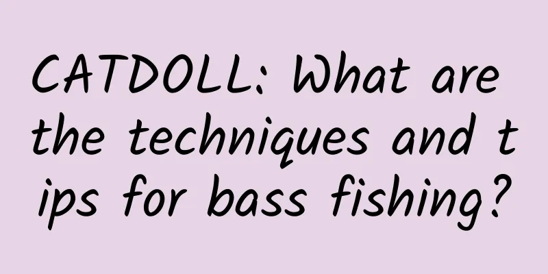 CATDOLL: What are the techniques and tips for bass fishing?
