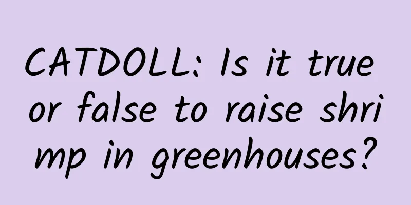 CATDOLL: Is it true or false to raise shrimp in greenhouses?