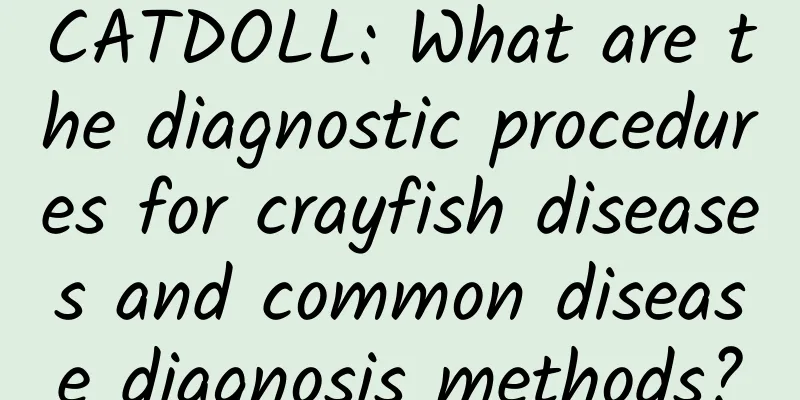 CATDOLL: What are the diagnostic procedures for crayfish diseases and common disease diagnosis methods?