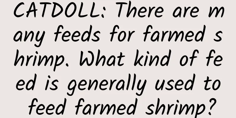 CATDOLL: There are many feeds for farmed shrimp. What kind of feed is generally used to feed farmed shrimp?