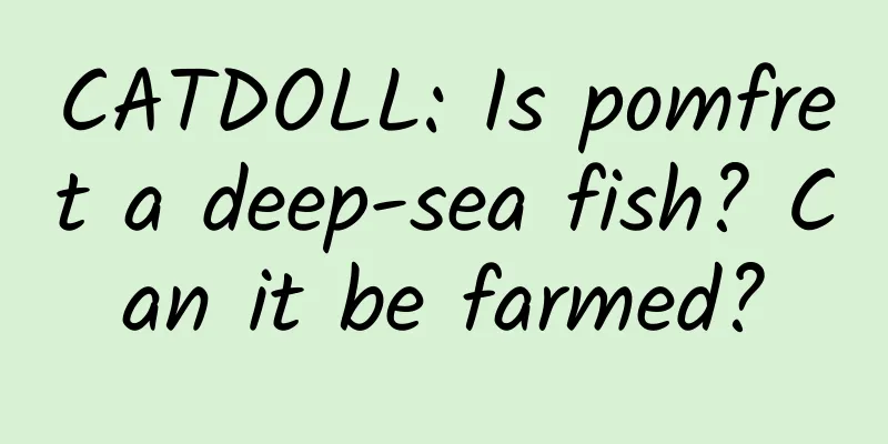 CATDOLL: Is pomfret a deep-sea fish? Can it be farmed?