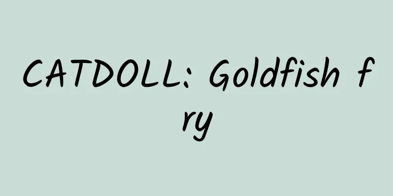 CATDOLL: Goldfish fry