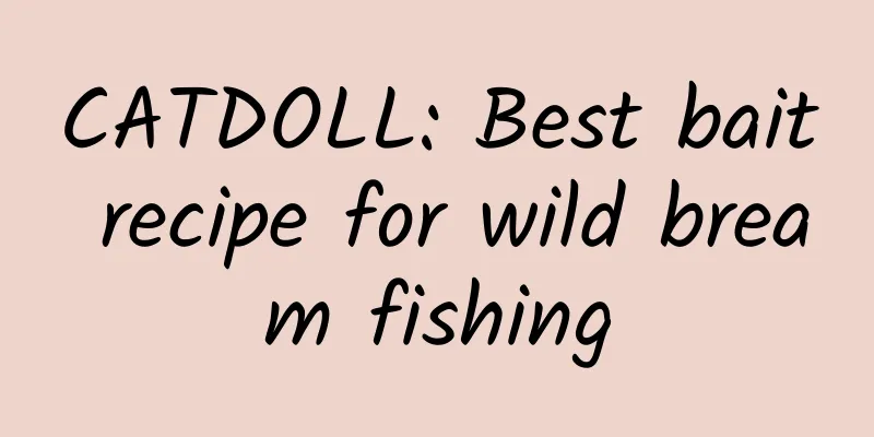 CATDOLL: Best bait recipe for wild bream fishing