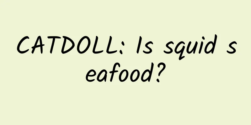 CATDOLL: Is squid seafood?