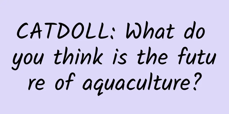 CATDOLL: What do you think is the future of aquaculture?