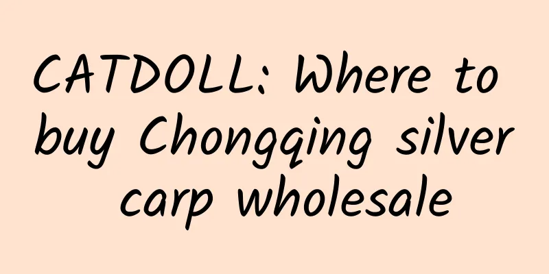 CATDOLL: Where to buy Chongqing silver carp wholesale