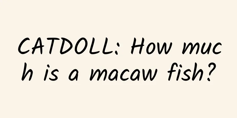 CATDOLL: How much is a macaw fish?