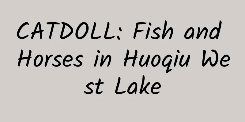 CATDOLL: Fish and Horses in Huoqiu West Lake